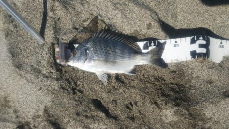 小さいけど何とか1枚